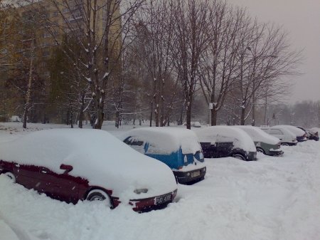 Poranek w śniegu