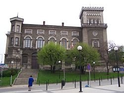 Lato w mieście - nasze propozycje