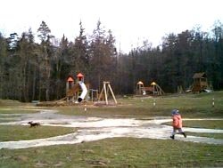 Lato w mieście - nasze propozycje
