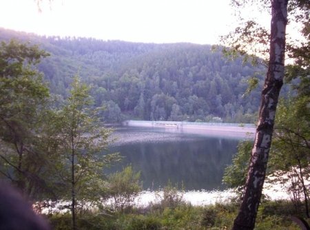 Lato w mieście - nasze propozycje