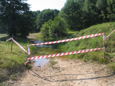 Kumaki są już bezpieczne