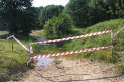 Kumaki są już bezpieczne