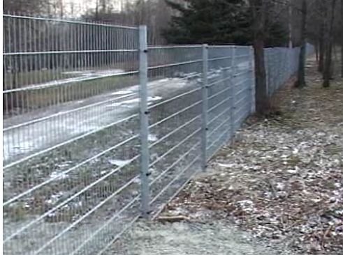 Ochrona na Błoniach