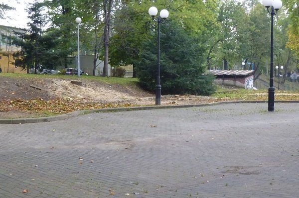Wycinają drzewa w parku