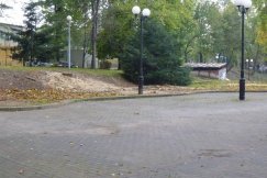 Wycinają drzewa w parku