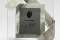 Zasłużona dla Śląska