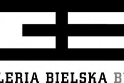 Festiwal bielskich talentów
