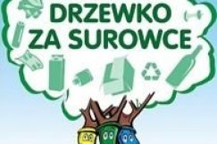 Drzewko z niespodzianką