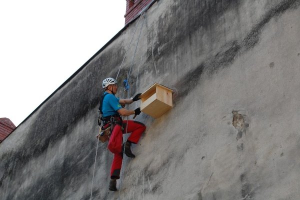 W ochronie dzikich lokatorów