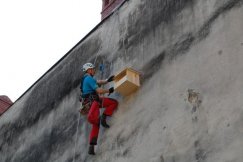 W ochronie dzikich lokatorów