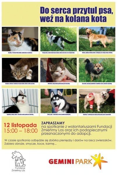 Powiększ rodzinę w galerii