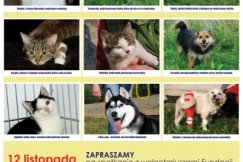Powiększ rodzinę w galerii