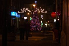 Iluminacje i choinki