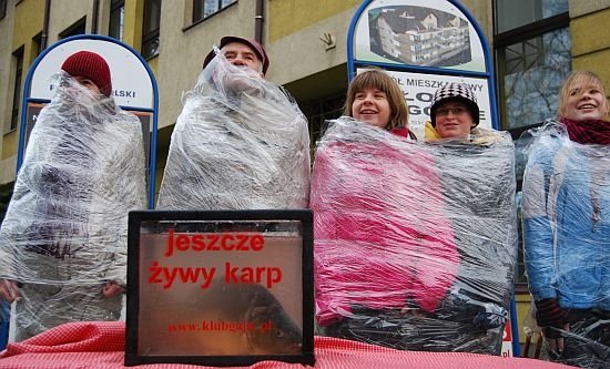 Owiną się w folię