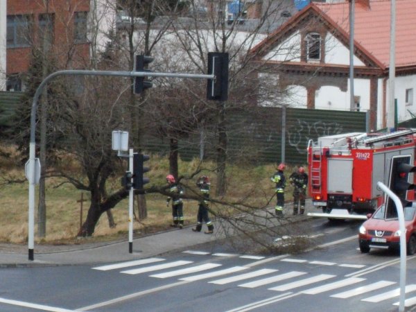 Konar zablokował pas ruchu