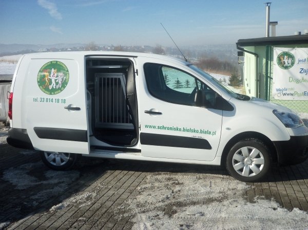 Auto dla bezdomnych zwierząt