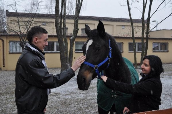 Uratowany koń pomaga dzieciom