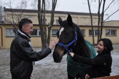 Uratowany koń pomaga dzieciom