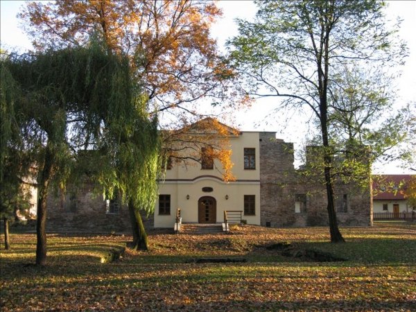 Niezapomniane wakacje w dworze