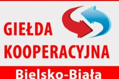 Znajdź partnera za granicą