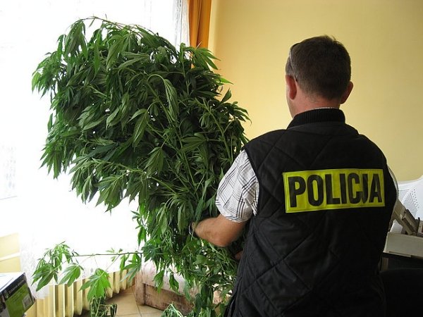 Policyjny kocioł w Kamienicy