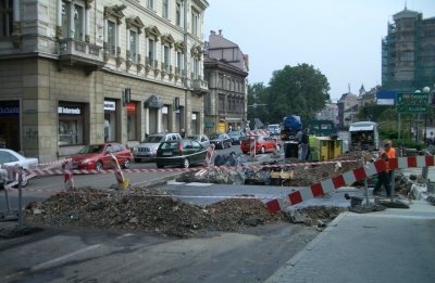 Korek beskidzki