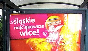 Wojewódzka promocja bez Bielska