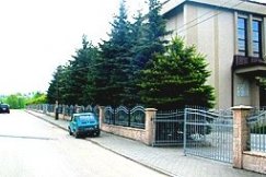 Chwyt poniżej pasa