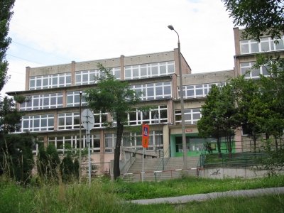Stuletni mędrzec w młodzieńczej formie