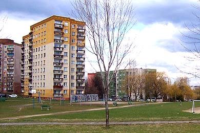 Pięć groszy do szczęścia