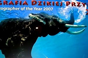 Bielskie zdjęcia w światowej elicie