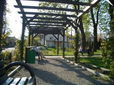 Betonowa dżungla z zielonym zakątkiem