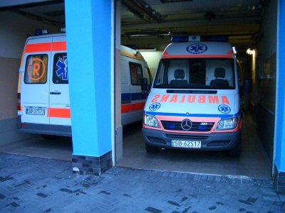 Oszukuj albo cierp