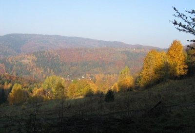 Jesteśmy zieloną wyspą