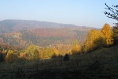 Jesteśmy zieloną wyspą