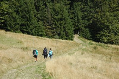 Nie wszyscy przegrali z ?Naturą??
