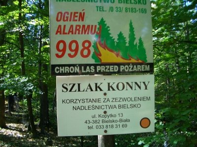 Sojusz przeciwko piratom