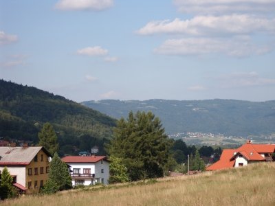 Sprzedam, kupię, wynajmę