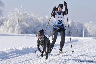 Walczą tylko o zwycięstwo