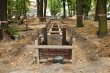 Park nabiera kształtów