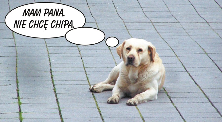 Spór o znakowanie bezdomnych