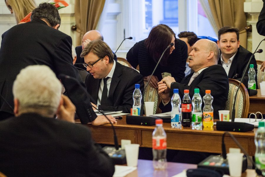Umierają, więc trzeba je usunąć