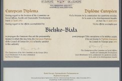 Dyplom za kontakty z partnerami