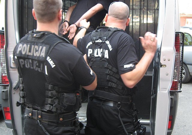 Oszukiwali na wielką skalę