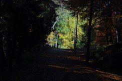 Niedziela ze złotą bielską jesienią - galeria