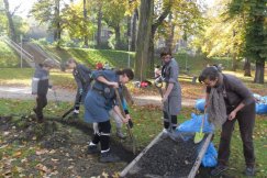 Szczere słowa o drzewach bez znieczulenia