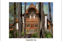 Wycieczka po Cygańskim Lesie