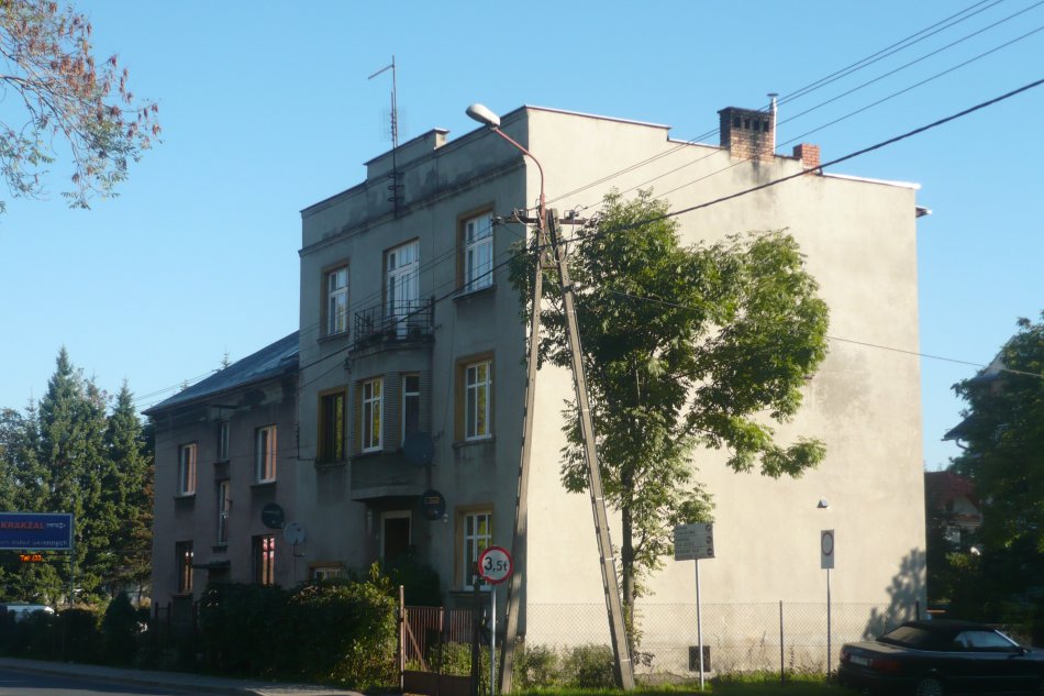 Będzie zakaz palenia węglem?