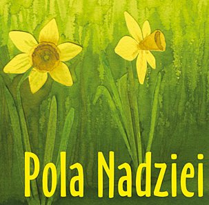 Pola nadziei z żonkilami