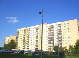 Specjalny zespół w Straży Miejskiej